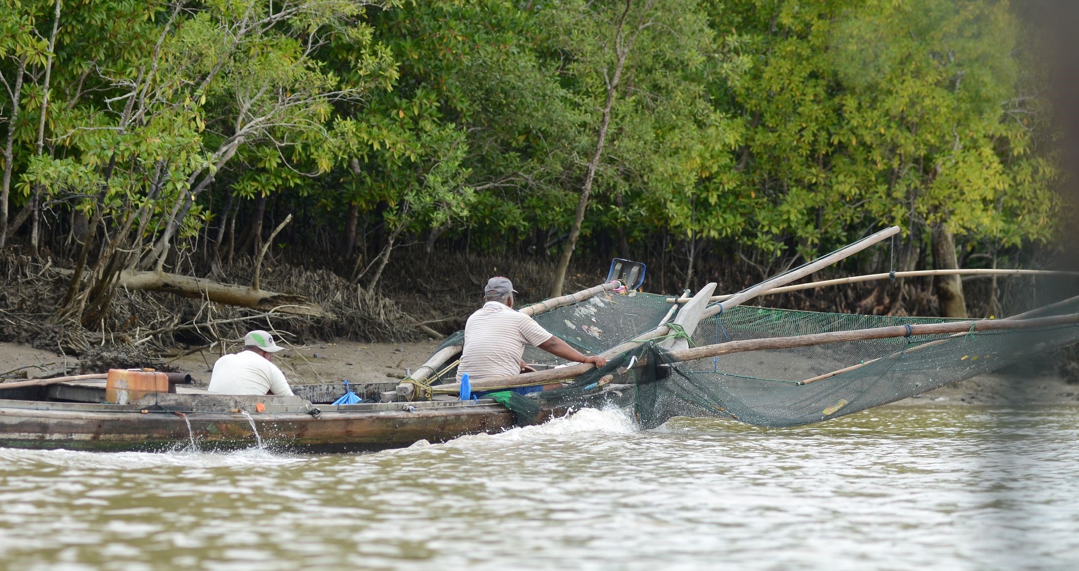 Protecting Mangroves for The Safety of Indragiri Hilir's livelihood