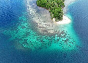 Coastline_Papua New Guinea_Coastline_OCG1 1027