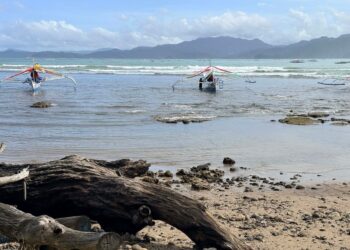 Coastline_Philippines_Puerto Princesa City, Palawan, Philippines. Picture credit Eco Kolek OCG2_1076