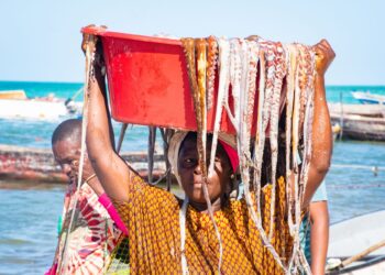 Fishing_Octopus fishing 2_Tanzania_OCG1_1083.jpg