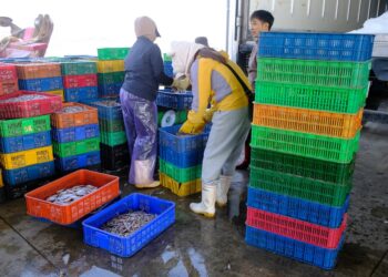 Fishing_Vienam_Local fisherfolk_OCG1 1164