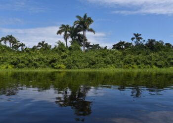 Atlántida Seascape of Honduras