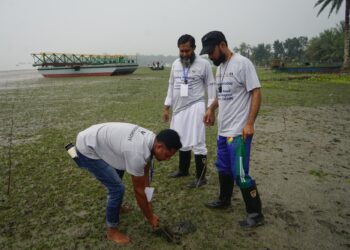 Mangroves_Bangladesh_Planting mangroves_OCG1_1063