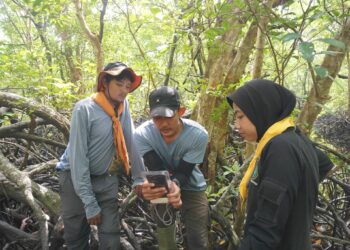 Mangroves_Indonesia__mangrove ecosystem measurement and monitoring in Bolak Raya Village, Mandah District, Indragiri Hilir Regency_OCG1 1127
