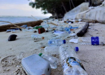 Plastic waste along the beaches of Banda and Lease Islands of Central Maluku, Indonesia