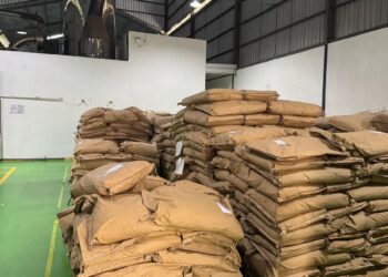 Project_Indonesia_Berikan warehouse production_OCG1_1119 (1)