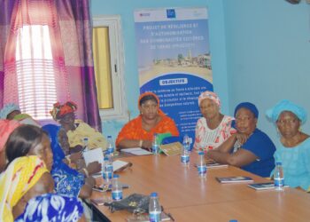 Project_Senegal_Group workshop 1_OCG1_1004