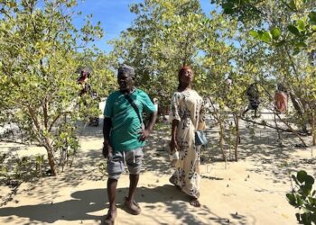 Project_Tanzania_Community mangrove training man and woman_OCG1 1128
