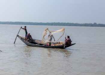 Women_Fishing_Women's fisherfolk cooperative fishing with net in Sundarbans, Bangladesh. Picture credit Badabon Sangho OCG2_1071